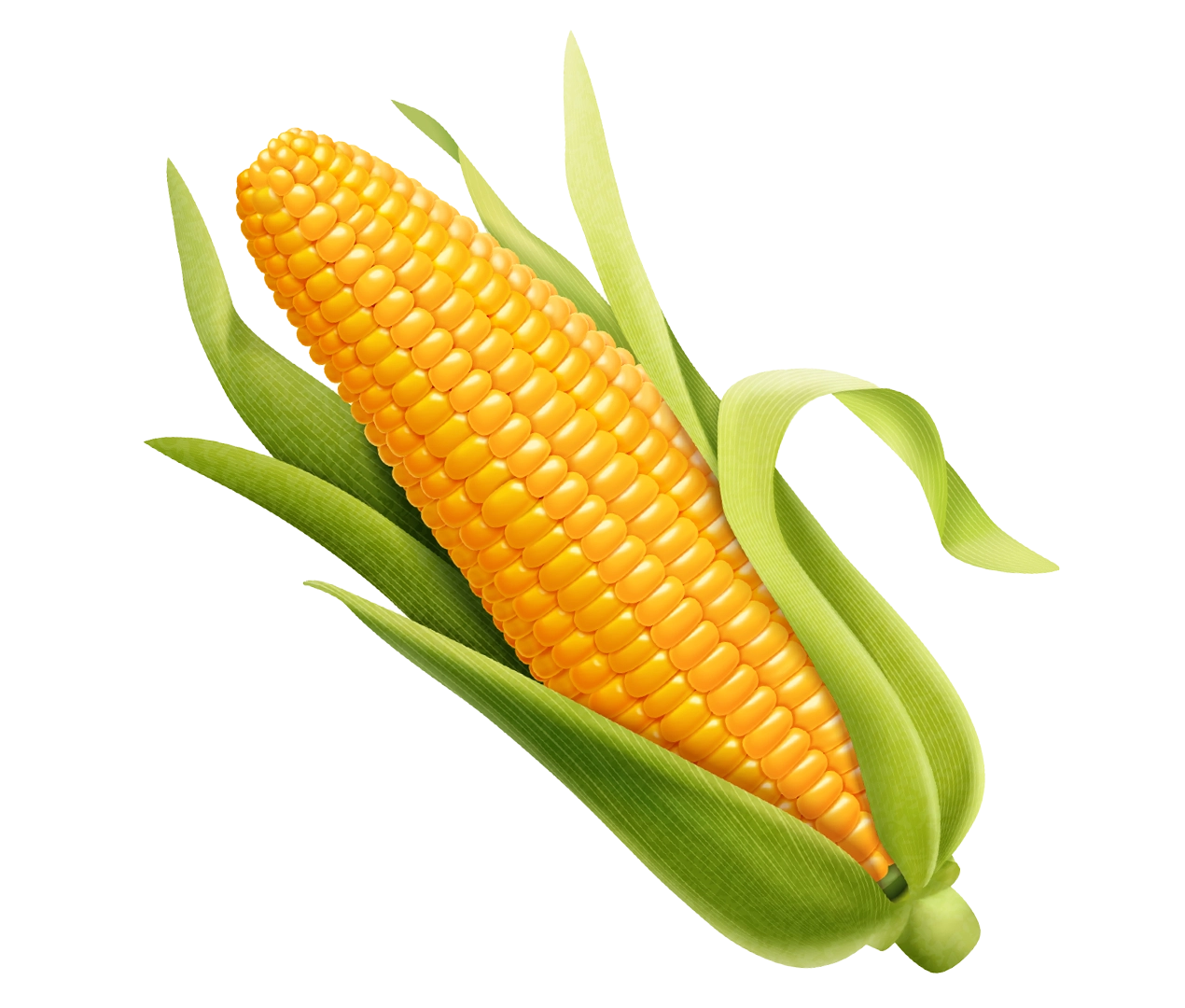 Corn Image With Transparent Background